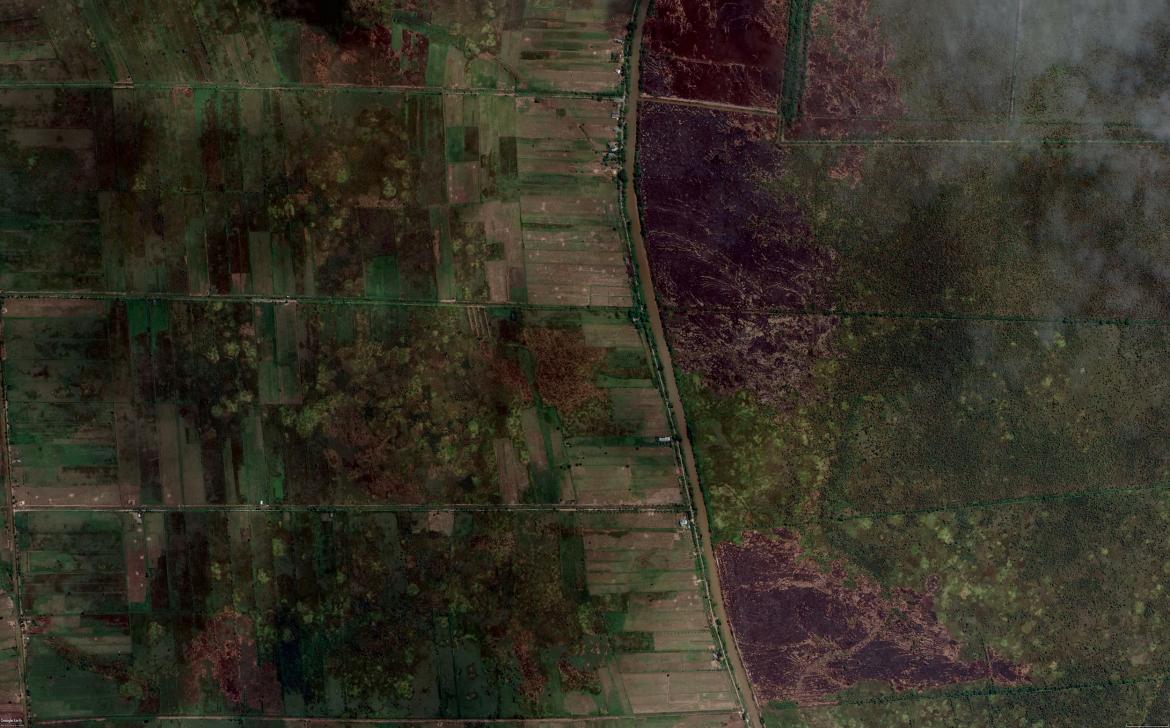 Burn scars on peatlands in Central Kalimantan province, Indonesia.