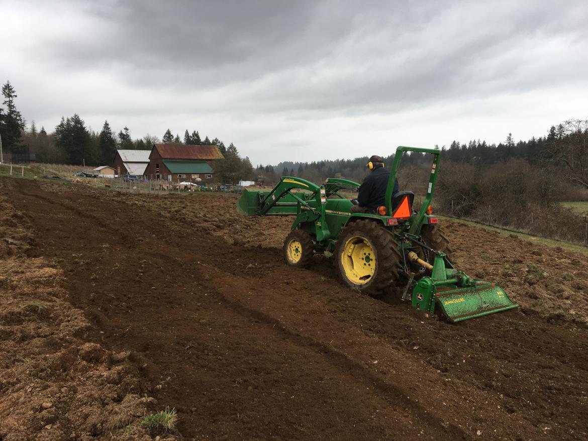 Rototilling new field at Cline Agri-health Centre, Nanaimo, BC. VIU Planting Vegetable Seeds for a Growing Need
