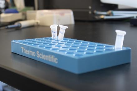 Clear test tubes in a blue tray labelled Thermo Scientific.