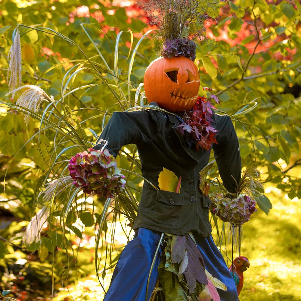 A scarecrow with a pumpkin for a hand and flower bouquets for hands is nestled among trees.