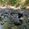 Biologist, Ally Badger, kneels in a river surrounded by rocks and water while collecting samples.